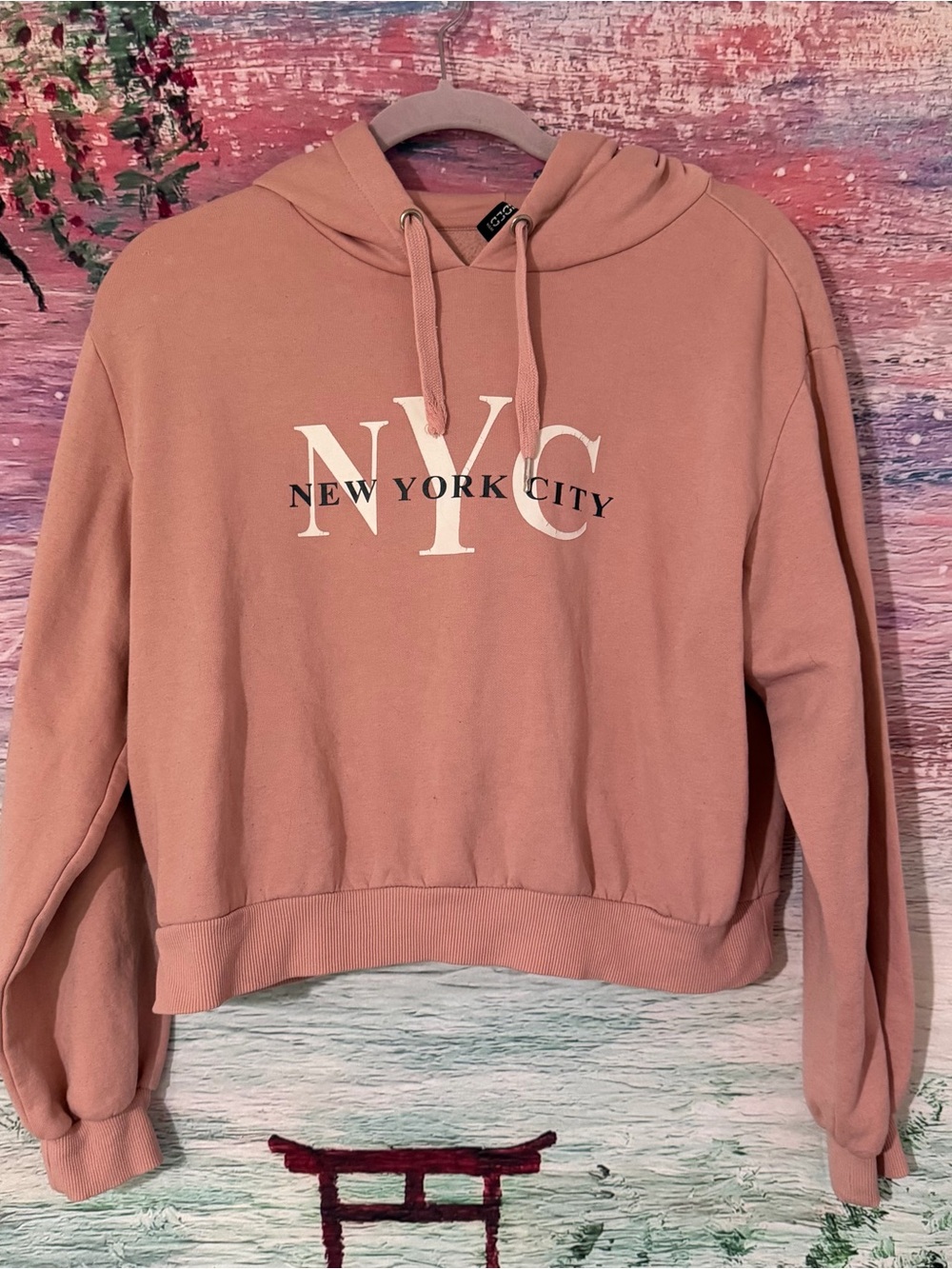 NYC New York City Pink Hoodie Sweatshirt